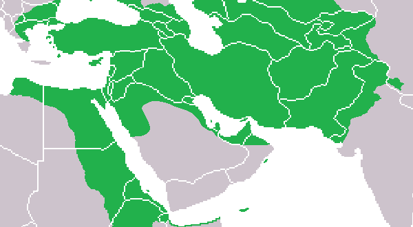 امپراتوری علوی